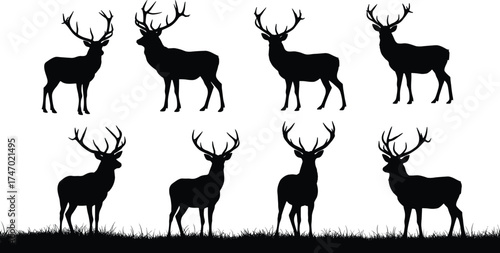 Silhouette collection of majestic deer with large antlers standing on grass field, wild animal vector design for nature and wildlife illustration