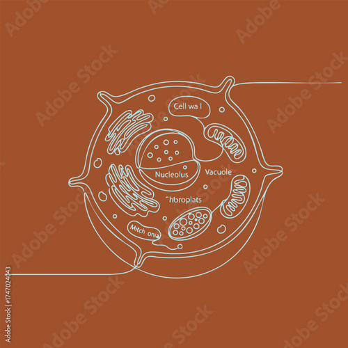 Detailed diagram of a plant cell showcasing various organelles including nucleus, vacuole, mitochondria, and endoplasmic reticulum