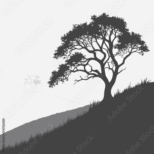 Silhouette of a large tree on a grassy hill nature