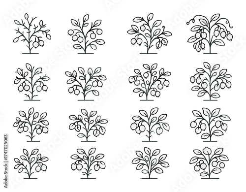 Monochrome illustrated patterns of fruit-bearing trees on gradient background
