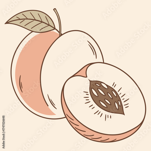 Illustration of two peaches, one whole and one cut in half, on beige background