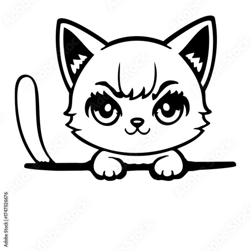 Sassy Cat Kitten Peeking Over Edge Determined Stare Cute
