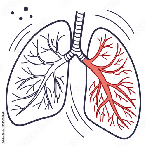 Stylized lungs graphic with one side in red respiratory system