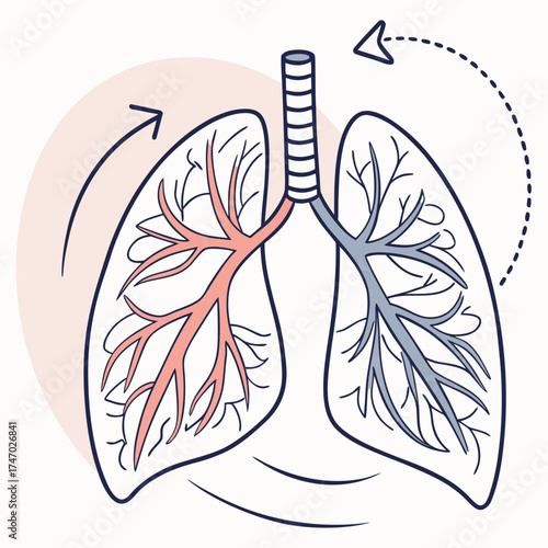 Stylized lungs with air flow arrows and blush circle