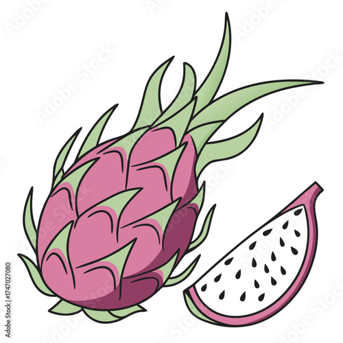 Illustration of a whole dragon fruit and a slice