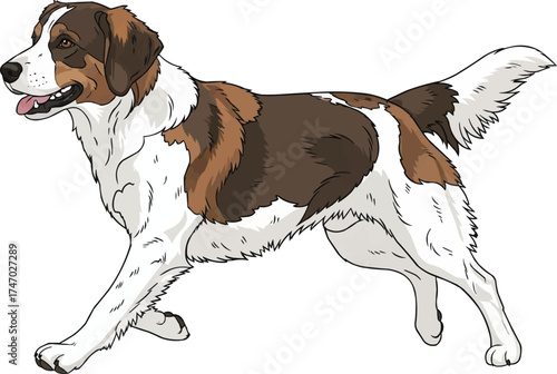 Dunker dog running energetic athletic vector illustration