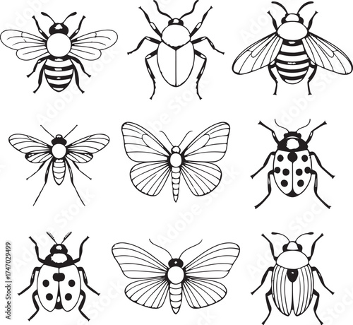 Nine Detailed Black and White Insect Drawings on White Background insects bugs