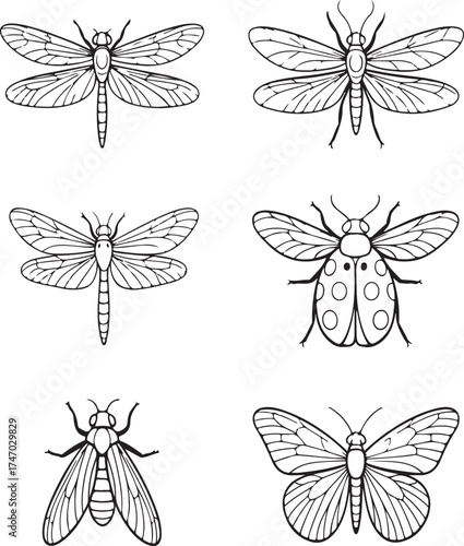Six different insect line art illustrations in a 3x2 grid on white background beetle butterfly