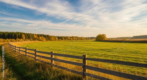 Fenced meadow curves to autumn trees