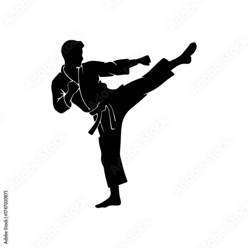 Martial artist performing a high kick silhouette isolated on white background