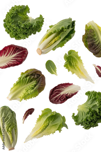 Assorted Lettuce and Radicchio Leaves isolated on a transparent background