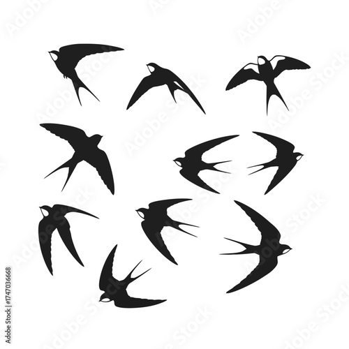 Graceful swallows flying in various dynamic poses and elegant formations.