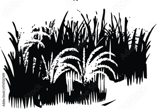 Grungy Monochrome Rice Plant Detail Harvest Illustration, Abstract Black and White Grain Field Vector Art