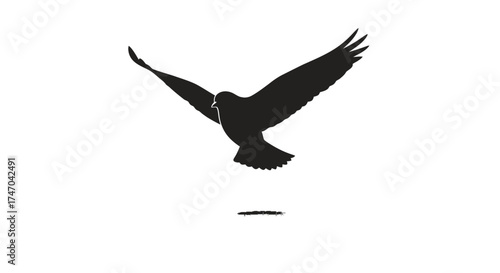 Silhouette of a Bird of Prey in Flight with Wings Spread.
