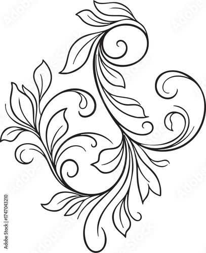 Illustration of elegant floral ornament illustration isolated on white background for design