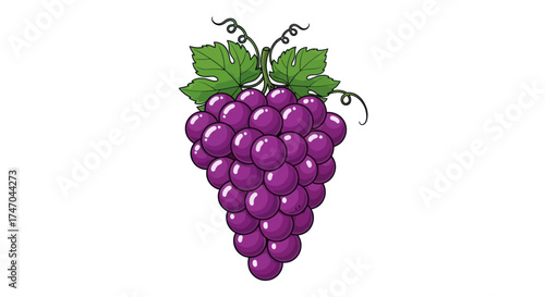 Vibrant Purple Grape Bunch with Green Leaves Illustration.