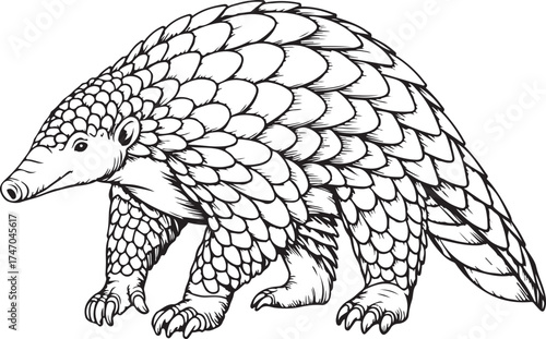 Detailed Black And White Illustration Of A Pangolin Walking animal wildlife
