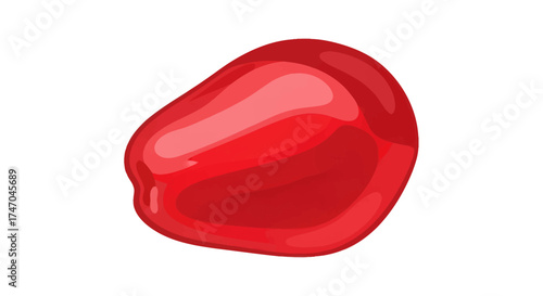 Single Glossy Red Pomegranate Aril Juicy Fruit Seed.