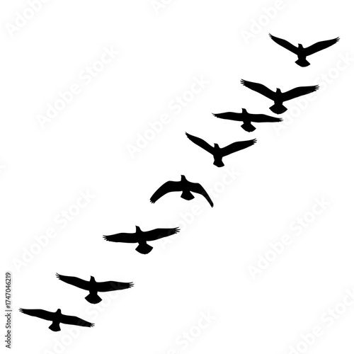 Silhouette of birds flying in formation against a white background.
