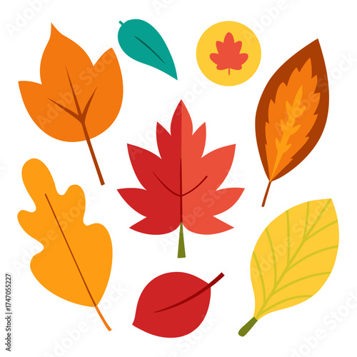 Yellow Autumn leaves vector illustration. Different kinds of leaves collection.