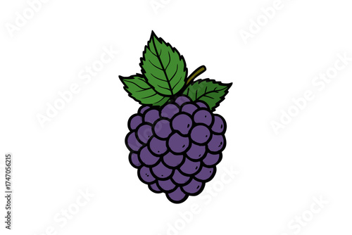 Macro view of fresh, ripe raspberries and blackberries with leaves, isolated on a white background