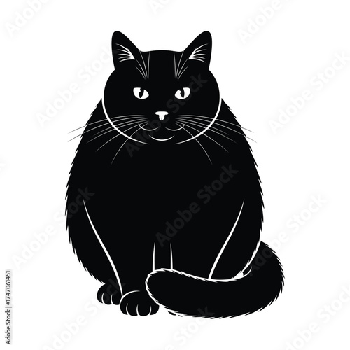 A black cat sitting with a fluffy body and a long tail looking directly at the viewer with bright eyes