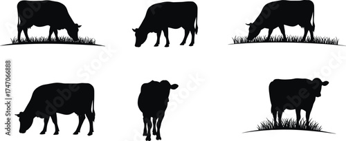Christmas zombie cow silhouettes grazing, farm animals, agriculture, livestock, dairy cattle, rural landscape, grazing pasture, black silhouette, farming illustration, countryside design