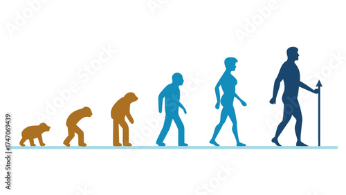 Human Evolution Stages Silhouette Illustration monkey