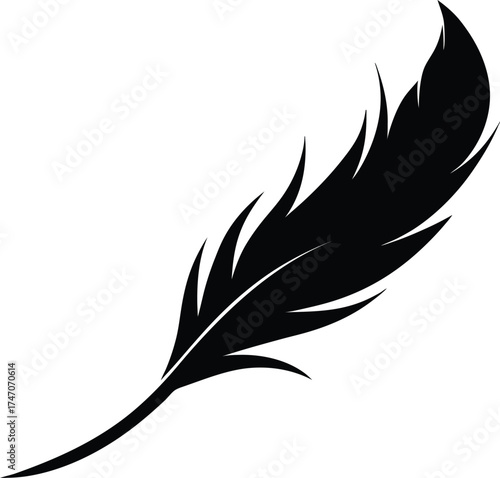 A single black feather silhouette with detailed barbs isolated on a white background isolated on white background isolated on transparent background
