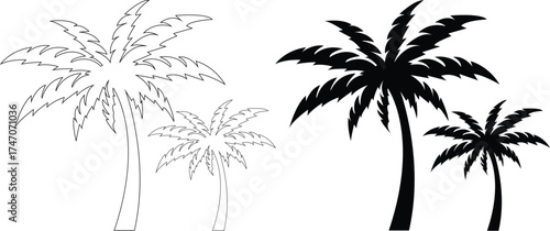 palm tree outline icon