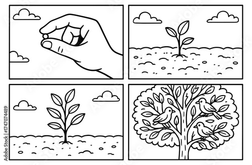 Mustard seed transformation journey: growth from seed to tree depicted in simple line art for design and education