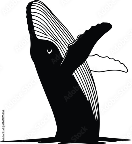 Vector silhouette humpback whale breaching the ocean surface illustration