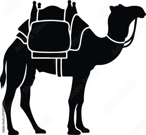 Vector silhouette of a dromedary camel with saddle illustration