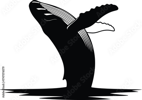 Vector silhouette of a whale jumping out of the ocean illustration