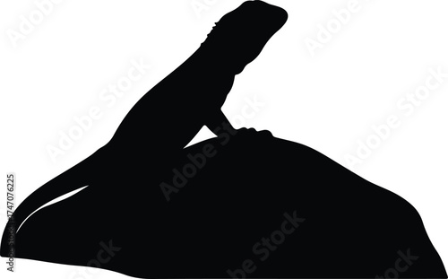 Vector silhouette of iguana resting on a rock illustration