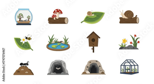 Collection of Miniature Habitats for Various Creatures and Organisms.