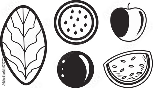 organic food icons leaf fruit seed natural pro