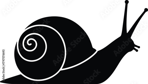 Vector silhouette snail crawling slowly illustration