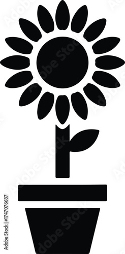 Vector silhouette sunflower in a pot minimal illustration