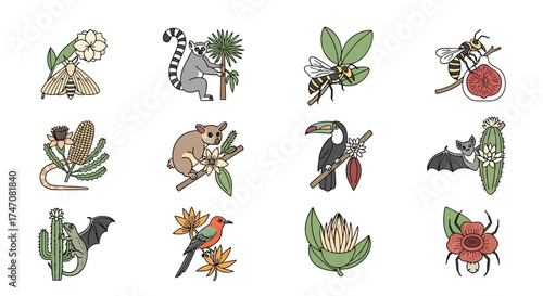 Illustrated set of diverse animals interacting with native plants.