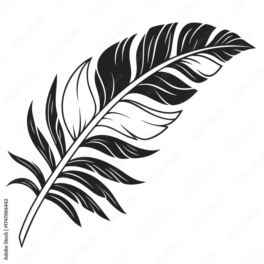 Obraz premium Black silhouette of a tropical palm leaf tropical leaf