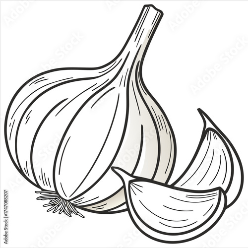A whole garlic bulb and its separated cloves, ready for culinary use, showcasing their creamy white and light beige tones against a stark white background.