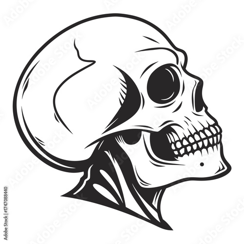 Black skull silhouette vector graphic hollow eyes 1