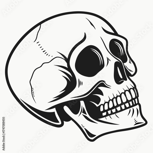 Black skull silhouette vector hollow eyes