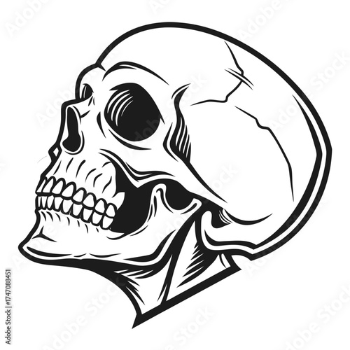 Black skull silhouette with hollow eyes and teeth vector