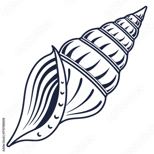 Dark blue spiral seashell line art vector nautilus