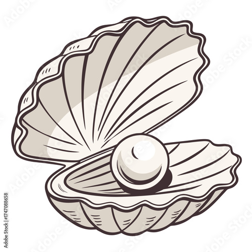 Open seashell with pearl inside flat icon oyster symbol