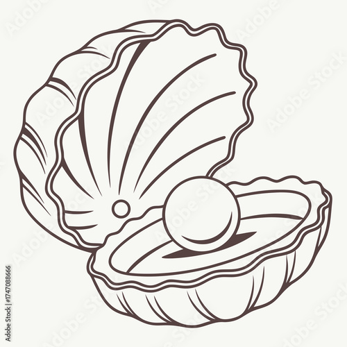 Open seashell with pearl inside line art oyster open shell