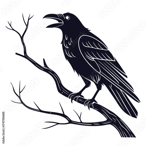 Black crow on bare branch vector silhouette raven bird