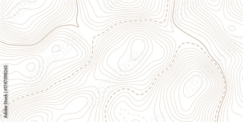 Topographic gold luxury map background. Geographic abstract pattern. The topo contour or wallpaper. Mountain trail terrain or path. Vector illustration.